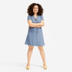 Everlane Japanese GoWeave Notch Shirtdress